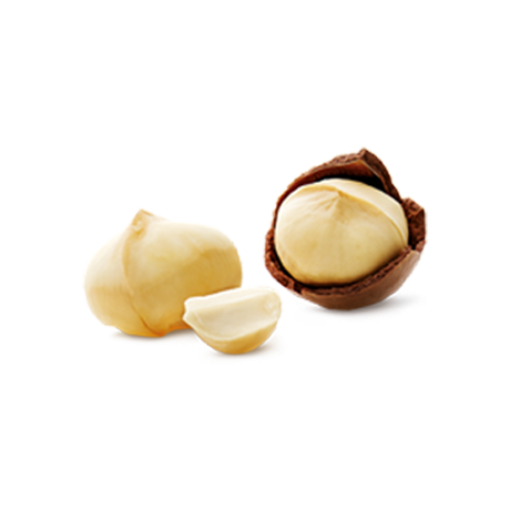 Macadamia Nut Brittle Tub
