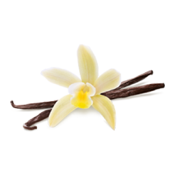 vanilla